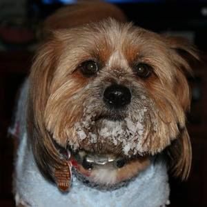 Meet your Posher, Kathy